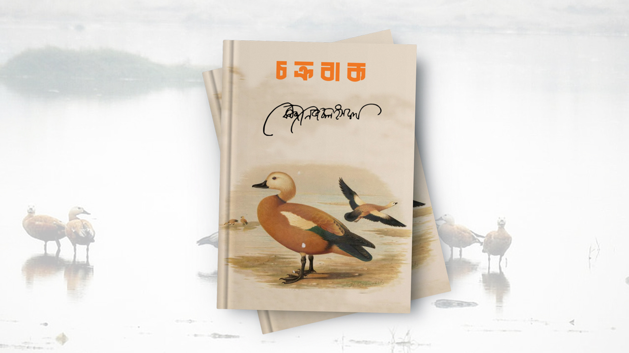 চক্রবাক